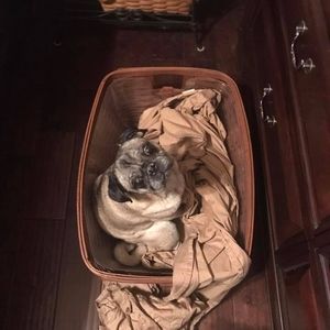 Meet your Posher, Cortney